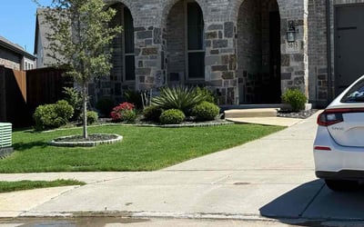 Photo of Peter S.'s yard after getting lawn care in Wilmington, NC
