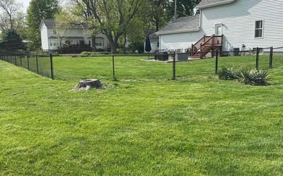 Photo of Jennifer P.'s yard after getting lawn care in Maryland Heights, MO