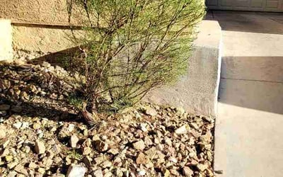 Photo of Heather J.'s yard after getting lawn care in Lebanon, IN