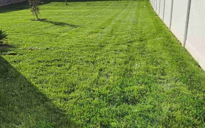 Photo of Amy H.'s yard after getting lawn care in Charlestown, IN
