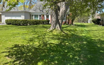 Photo of Margeret M.'s yard after getting lawn care in Port Washington, WI