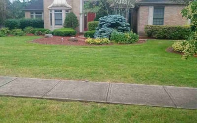 Photo of Windsor P.'s yard after getting lawn care in New Albany, OH