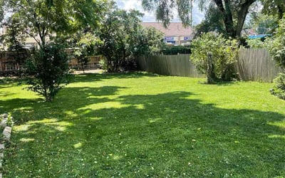 Photo of Brandi K.'s yard after getting lawn care in Olmsted Falls, OH