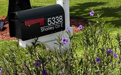 Photo of Michael H.'s yard after getting lawn care in Fort Myers, FL