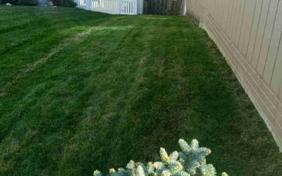 Photo of Tanya F.'s yard after getting lawn care in Kaukauna, WI