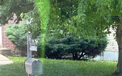 Photo of Angel T.'s yard after getting lawn care in Calumet, IL
