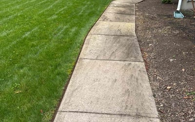 Photo of Celeste S.'s yard after getting lawn care in Coventry, RI