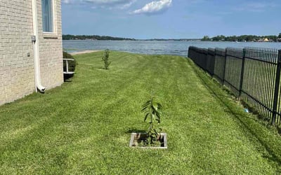 Photo of Gregory B.'s yard after getting lawn care in Gibsonville, NC