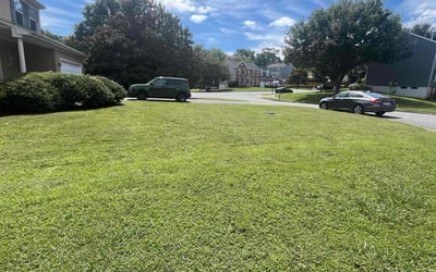 Photo of Rudolf C.'s yard after getting lawn care in Kingstowne, VA