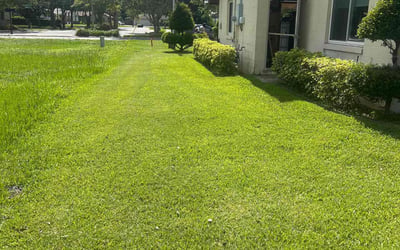 Photo of Cheran R.'s yard after getting lawn care in Corinth, TX