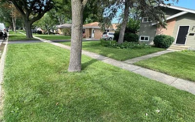 Photo of Vito K.'s yard after getting lawn care in Villa Park, IL