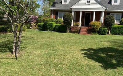 Photo of Richard G.'s yard after getting lawn care in Villa Rica, GA