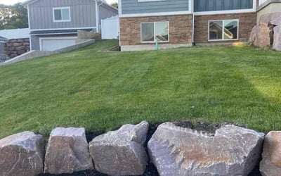 Photo of Patty H.'s yard after getting lawn care in Jasper, GA