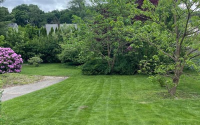 Photo of Greg G.'s yard after getting lawn care in Norwood, MA