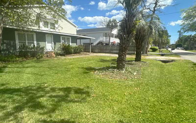 Photo of Teressa H.'s yard after getting lawn care in North Myrtle Beach, SC