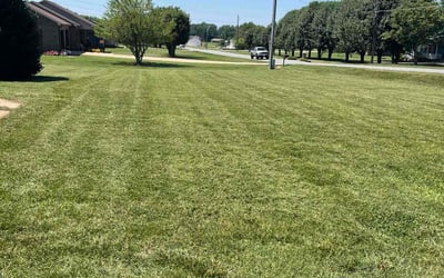 Photo of Chris and Princess N.'s yard after getting lawn care in Conover, NC