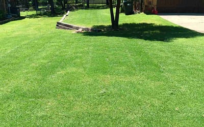 Photo of Richard B.'s yard after getting lawn care in Inman, SC