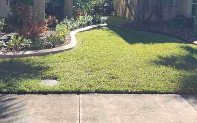 Photo of Lucyl Z.'s yard after getting lawn care in Port St. Lucie, FL
