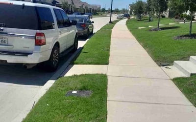 Photo of George M.'s yard after getting lawn care in Tarpon Springs, FL