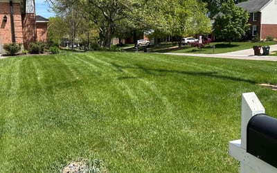 Photo of Kayla W.'s yard after getting lawn care in Lansing, MI
