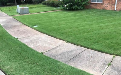 Photo of Erin L.'s yard after getting lawn care in West Memphis, AR
