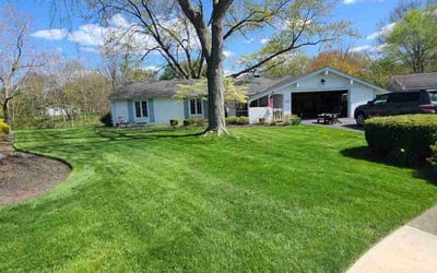 Photo of Tom A.'s yard after getting lawn care in Bay Village, OH