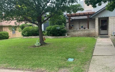 Photo of Kevin K.'s yard after getting lawn care in Allentown, PA