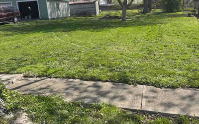 Photo of Weichao C.'s yard after getting lawn care in Worthington, OH