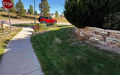 Photo of Patrick F.'s yard after getting lawn care in Monument, CO