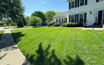 Photo of Belinda C.'s yard after getting lawn care in Wheaton, IL