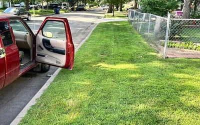 Photo of Evelyn T.'s yard after getting lawn care in Newton, KS