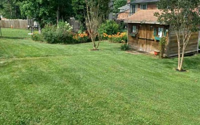 Photo of Slate S.'s yard after getting lawn care in Richmond, VA