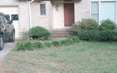 Photo of Aida V.'s yard after getting tree care in Lacoochee, FL