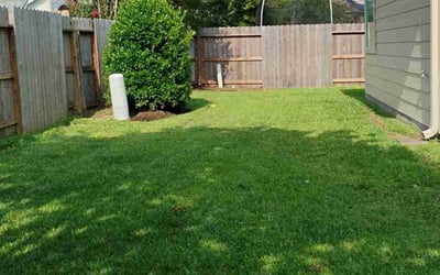 Photo of Mike R.'s yard after getting lawn care in San Antonio, TX