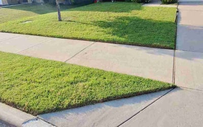 Photo of Kendra J.'s yard after getting lawn care in Asheville, NC