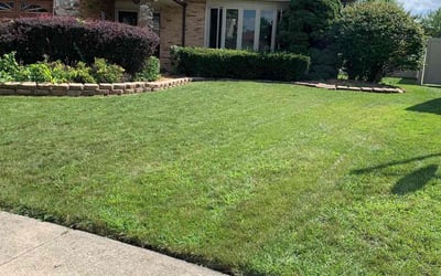 Photo of Michele M.'s yard after getting lawn care in Oak Forest, IL