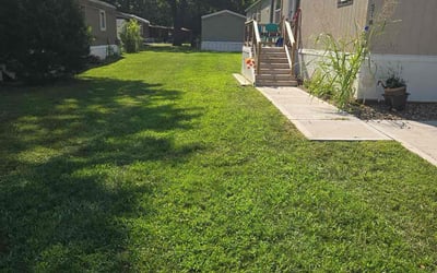 Photo of Gwen M.'s yard after getting lawn care in Loveland, OH