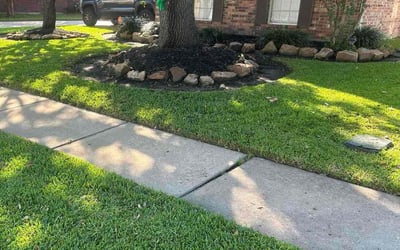 Photo of Annette H.'s yard after getting lawn care in Grayslake, IL