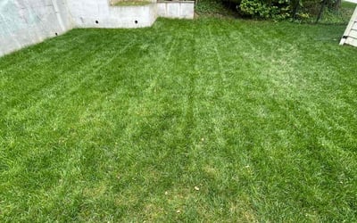Photo of Lawrence A.'s yard after getting lawn care in Vienna, VA
