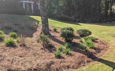 Photo of Kris G.'s yard after getting lawn care in Tallmadge, OH