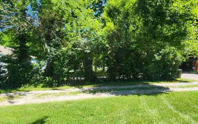 Photo of Leigh-Anna M.'s yard after getting lawn care in Springfield, TN