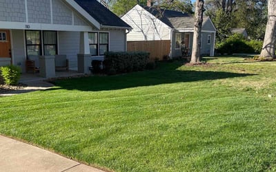 Photo of Christopher S.'s yard after getting lawn care in Ocean Isle Beach, NC