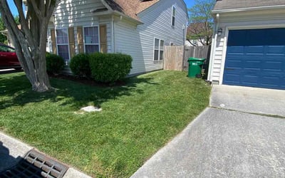 Photo of Tony L.'s yard after getting lawn care in Ellenwood, GA