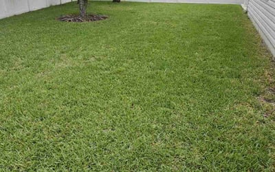 Photo of Vyonne C.'s yard after getting tree care in Saint Johns, FL