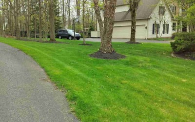 Photo of Eric M.'s yard after getting lawn care in Independence, OH