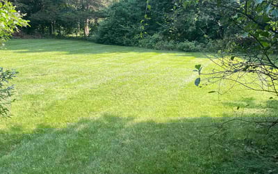 Photo of Winona C.'s yard after getting lawn care in Madison, CT