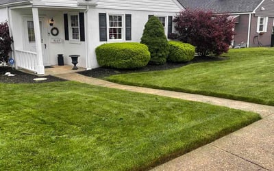 Photo of Myra M.'s yard after getting lawn care in Biloxi, MS