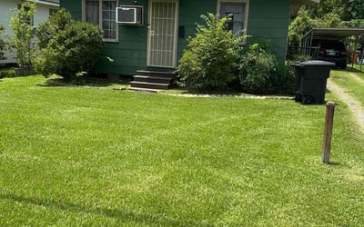 Photo of David T.'s yard after getting lawn care in Washington, PA
