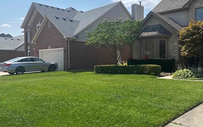 Photo of Patty C.'s yard after getting lawn care in Highland, MI