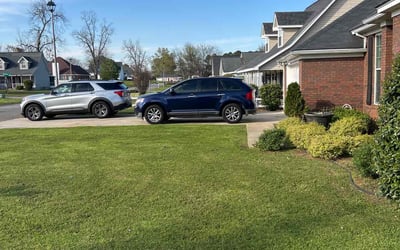 Photo of Kelly M.'s yard after getting lawn care in Albany, GA